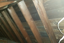 Attic2_23-Blackbird-Lane_Calderon_20160503